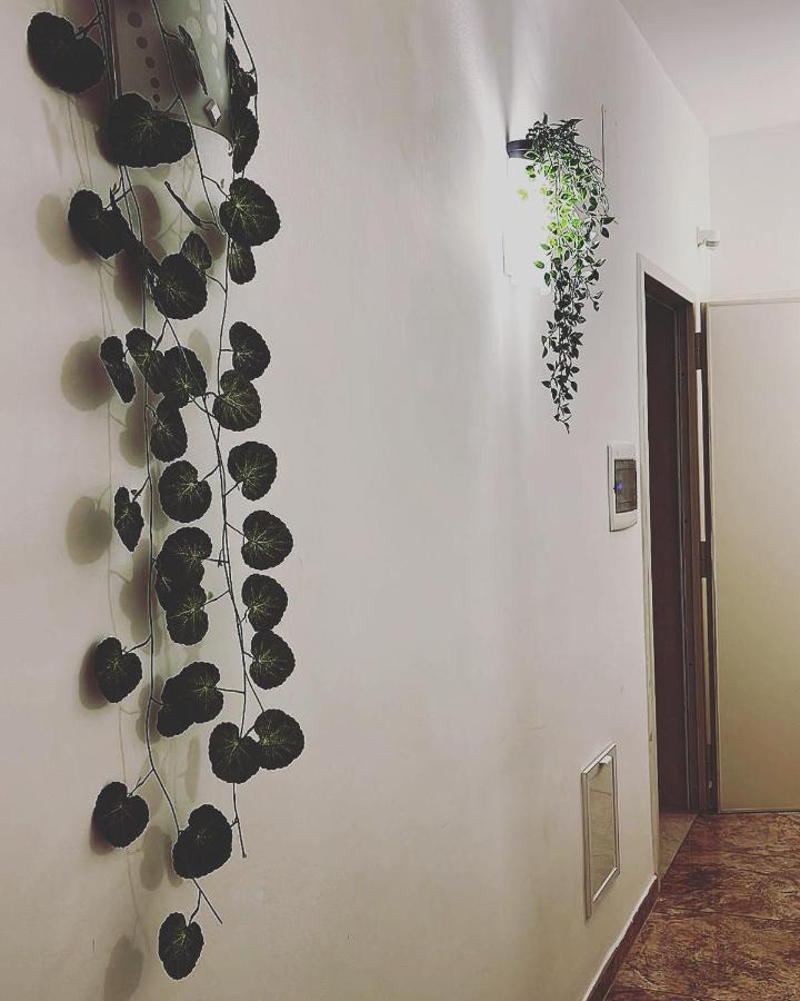 Esperanto B&B Bari Dış mekan fotoğraf