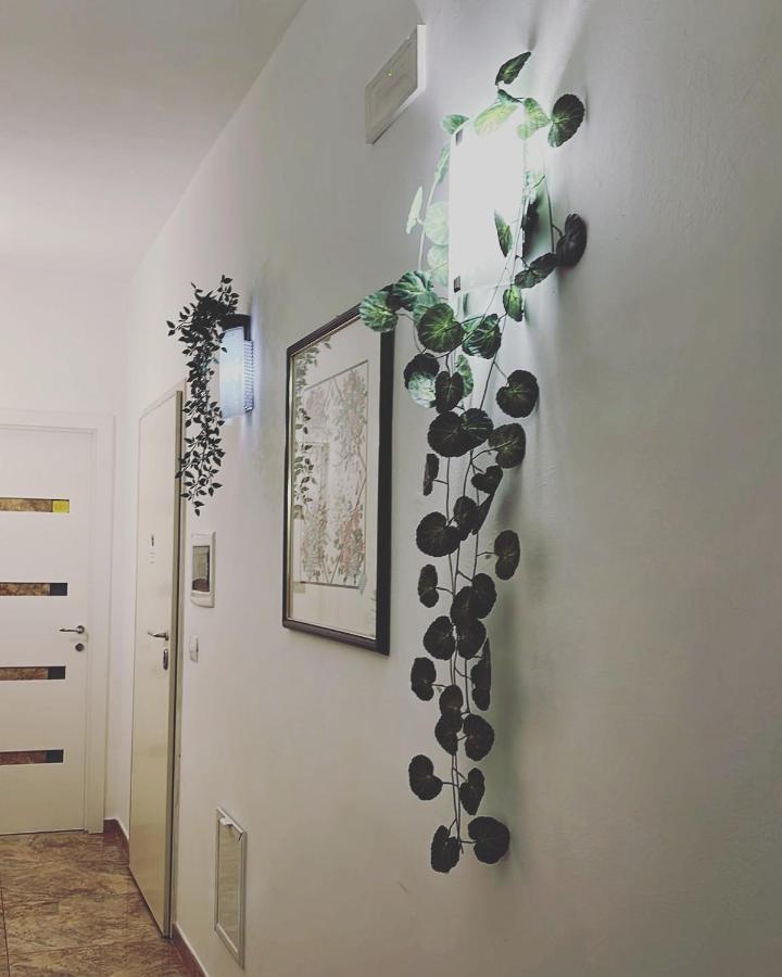 Esperanto B&B Bari Dış mekan fotoğraf